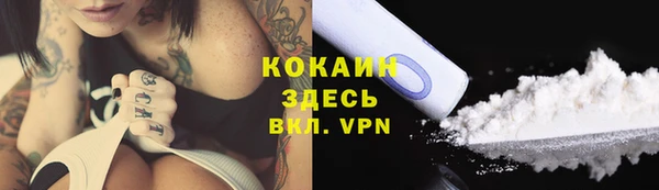 тгк Алзамай