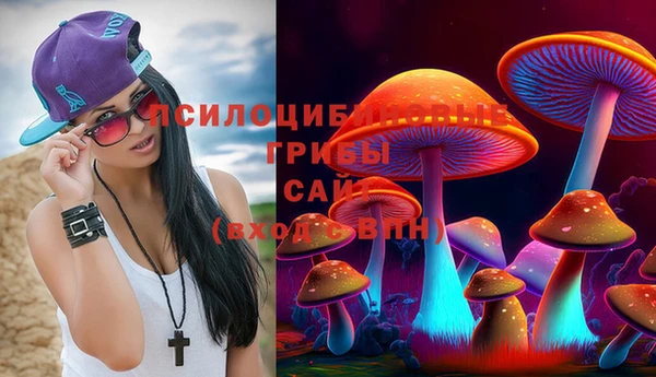 ALPHA PVP Алексин