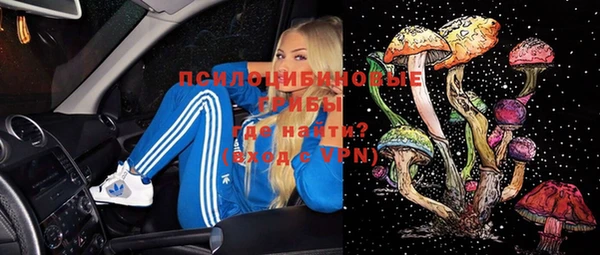 тгк Алзамай