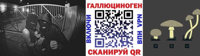 Галлюциногенные грибы ЛСД  цены наркотик  darknet как зайти  Пласт  OMG как зайти 