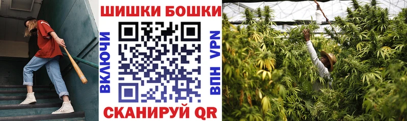 Бошки марихуана Amnesia  Пласт 